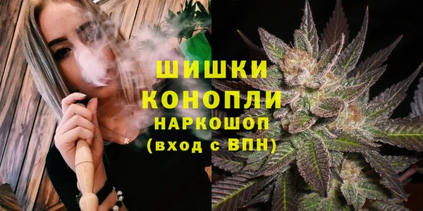 ПСИЛОЦИБИНОВЫЕ ГРИБЫ Медногорск