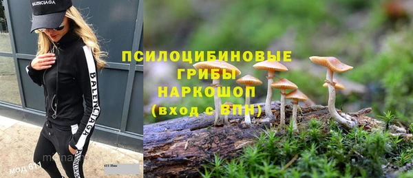 ПСИЛОЦИБИНОВЫЕ ГРИБЫ Медногорск