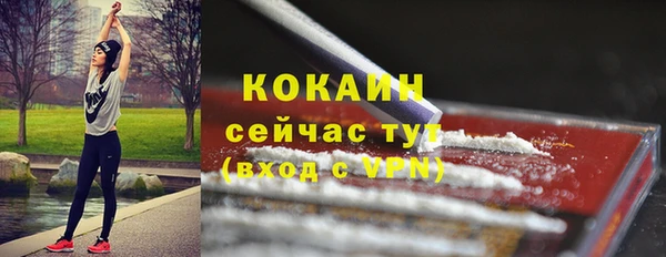 шишки Долгопрудный