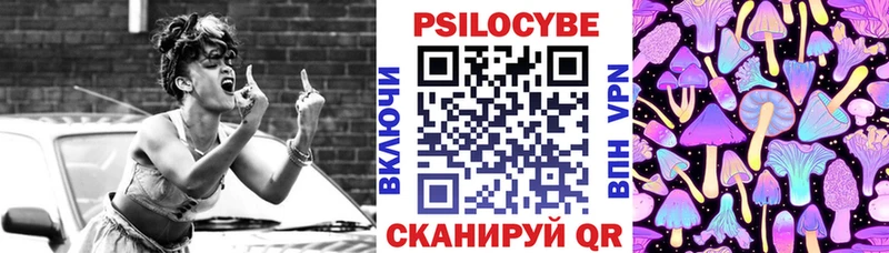 Псилоцибиновые грибы Cubensis  Ленинградская 